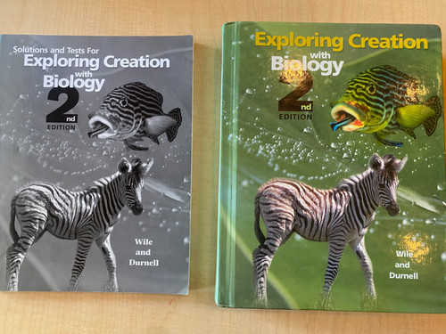 Exploring creation with - creation,